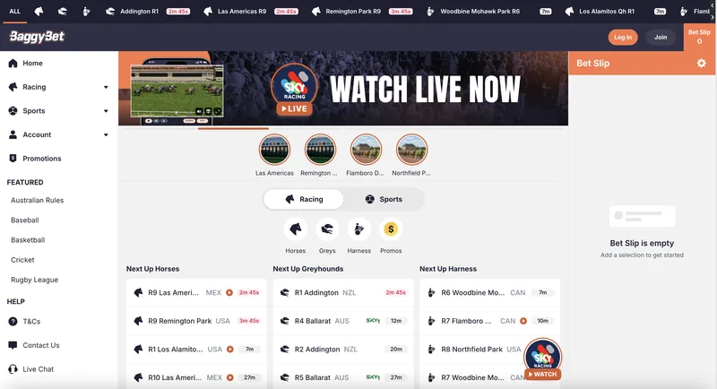 BaggyBet desktop view