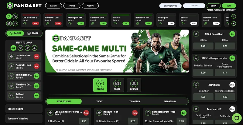 Pandabet desktop view