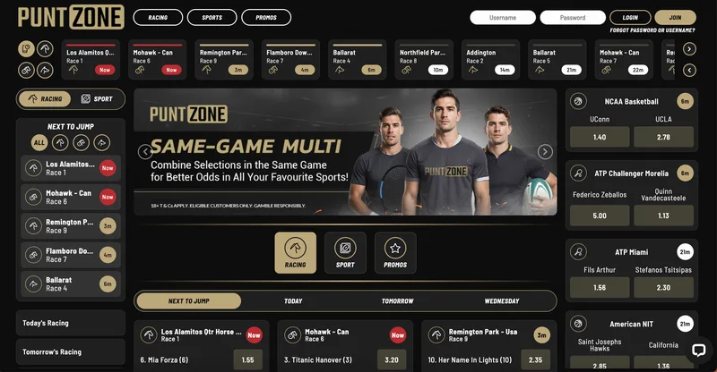 PuntZone desktop view