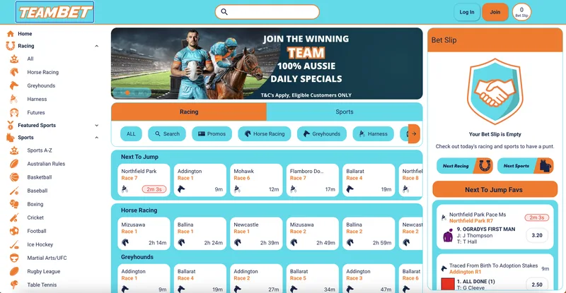 Teambet desktop view