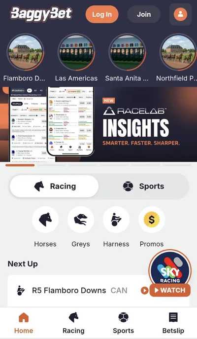 BaggyBet mobile view