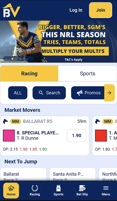 BetVista mobile view