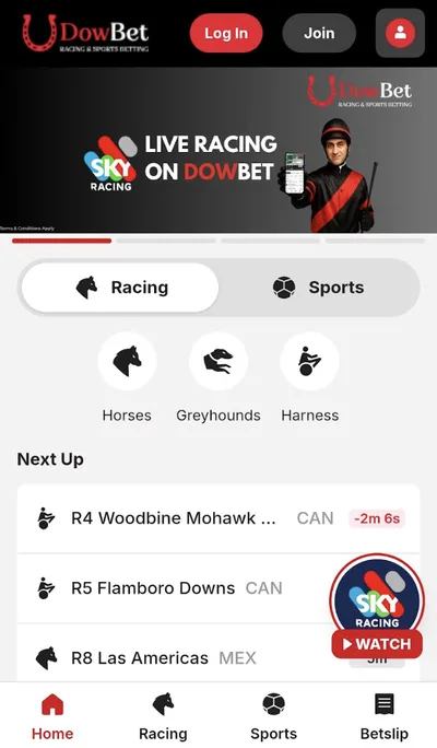 Dowbet mobile view
