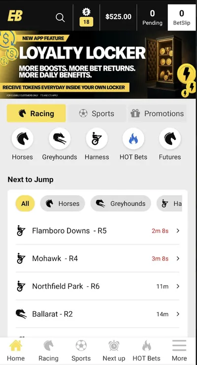 Elitebet mobile view