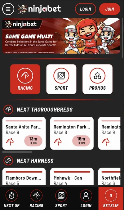 ninjabet mobile view