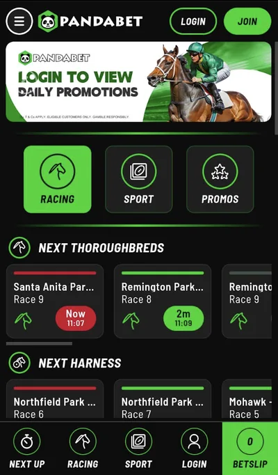 Pandabet mobile view