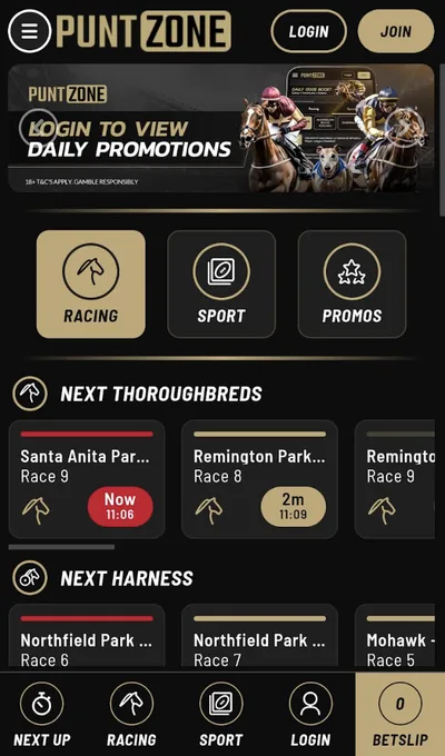 PuntZone mobile view